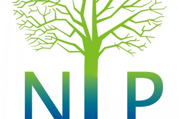 מה זה nlp ולמה הלכתי ללמוד את זה?